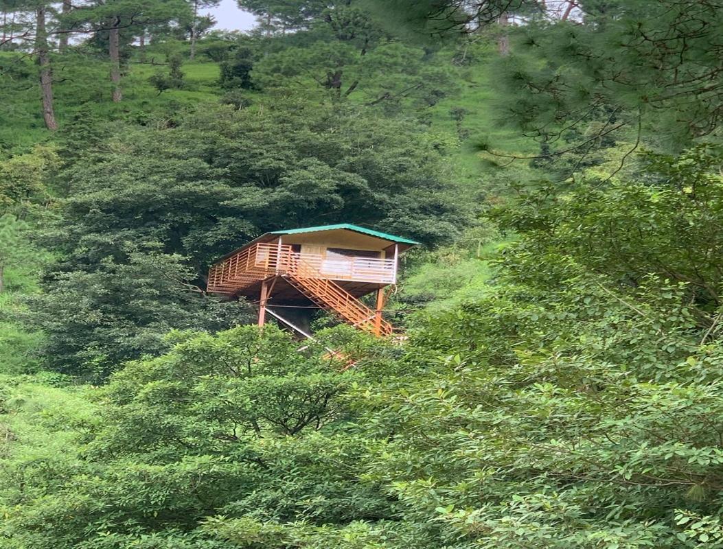 The Cocoon Camps & Nature Resorts Nainital Buitenkant foto