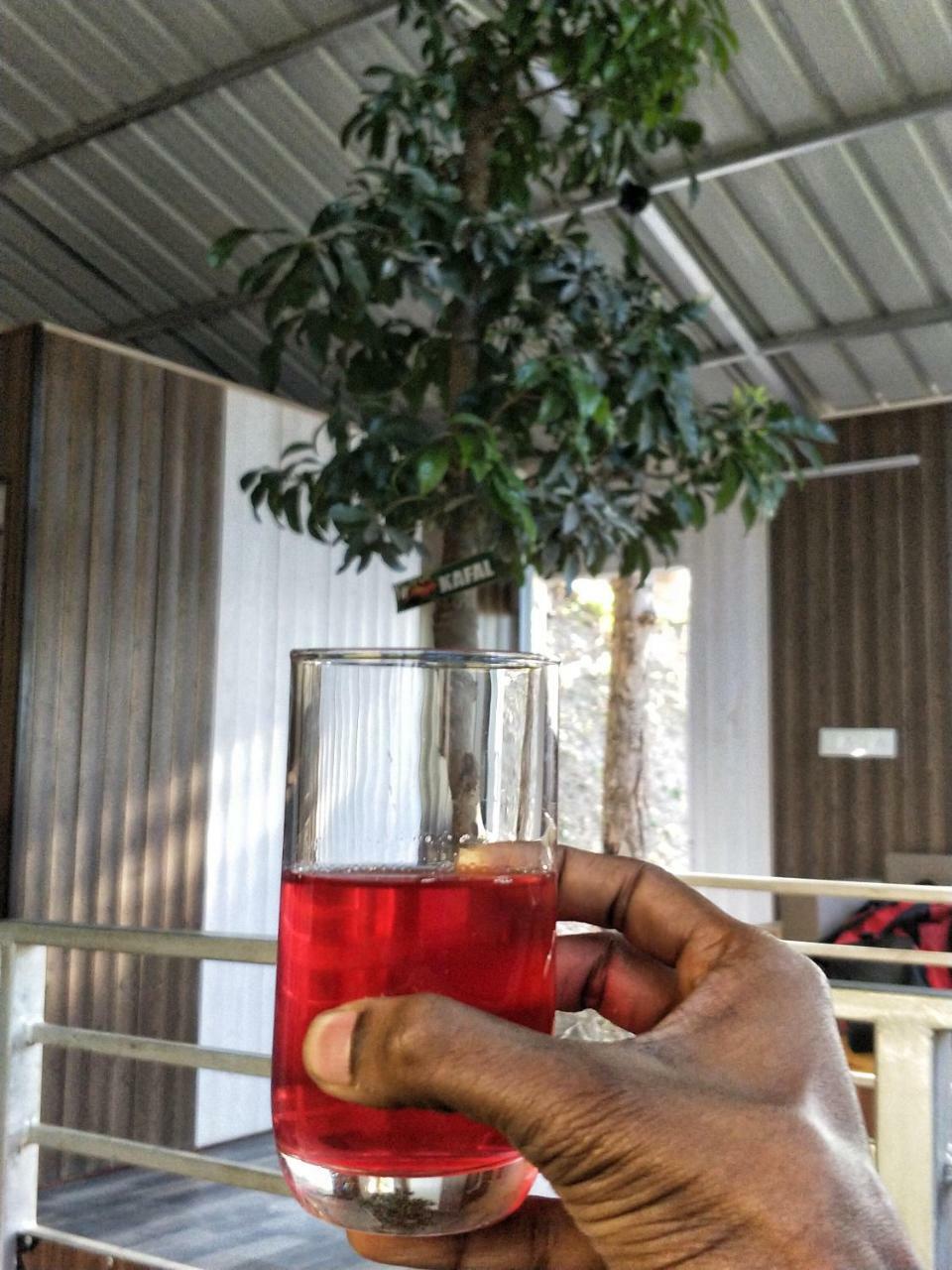 The Cocoon Camps & Nature Resorts Nainital Buitenkant foto